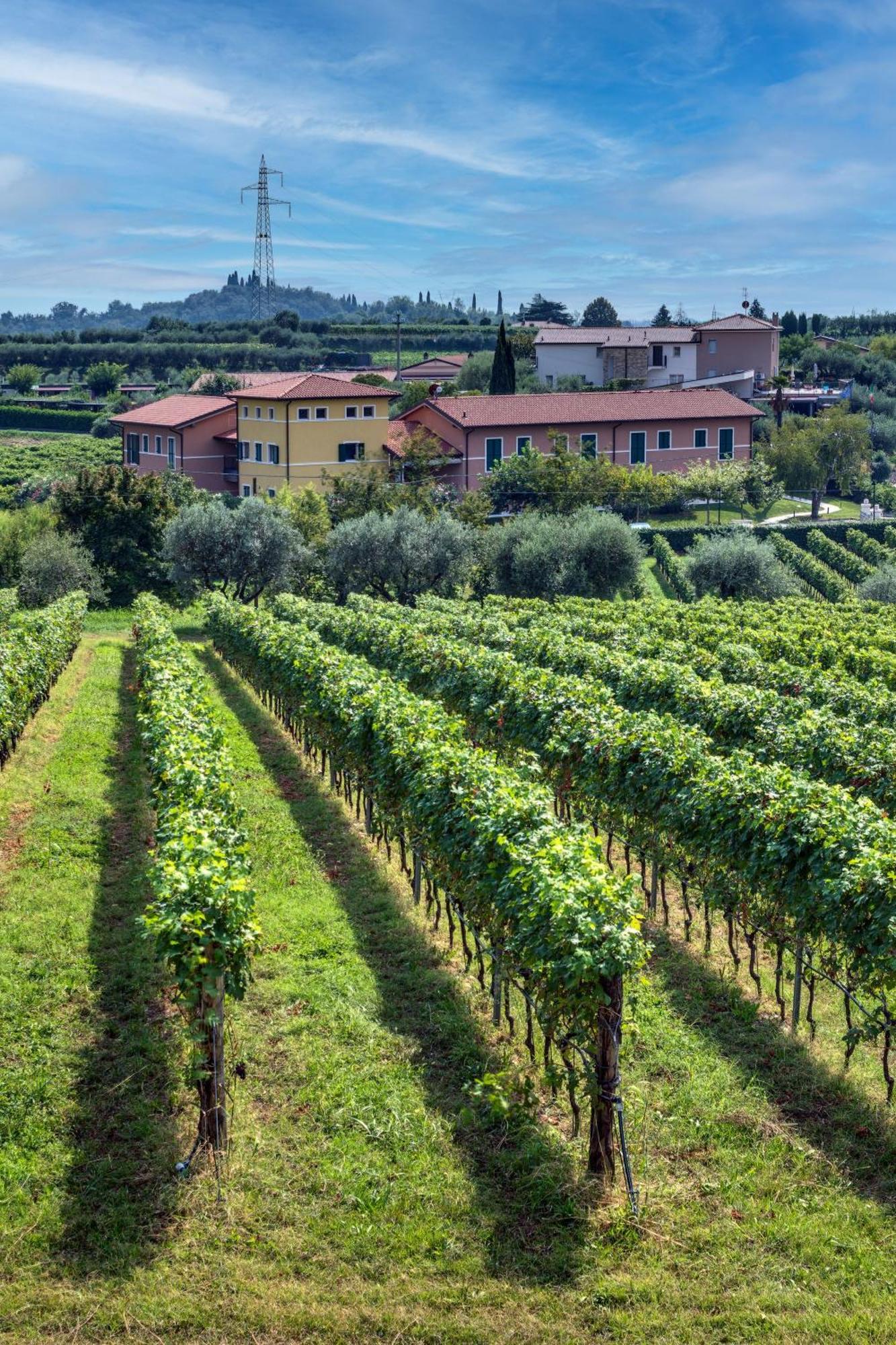 Tenuta Di Palu Bardolino Exterior foto